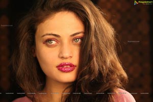 Sneha Ullal Action 3D Hot