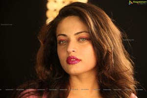 Sneha Ullal Action 3D Hot