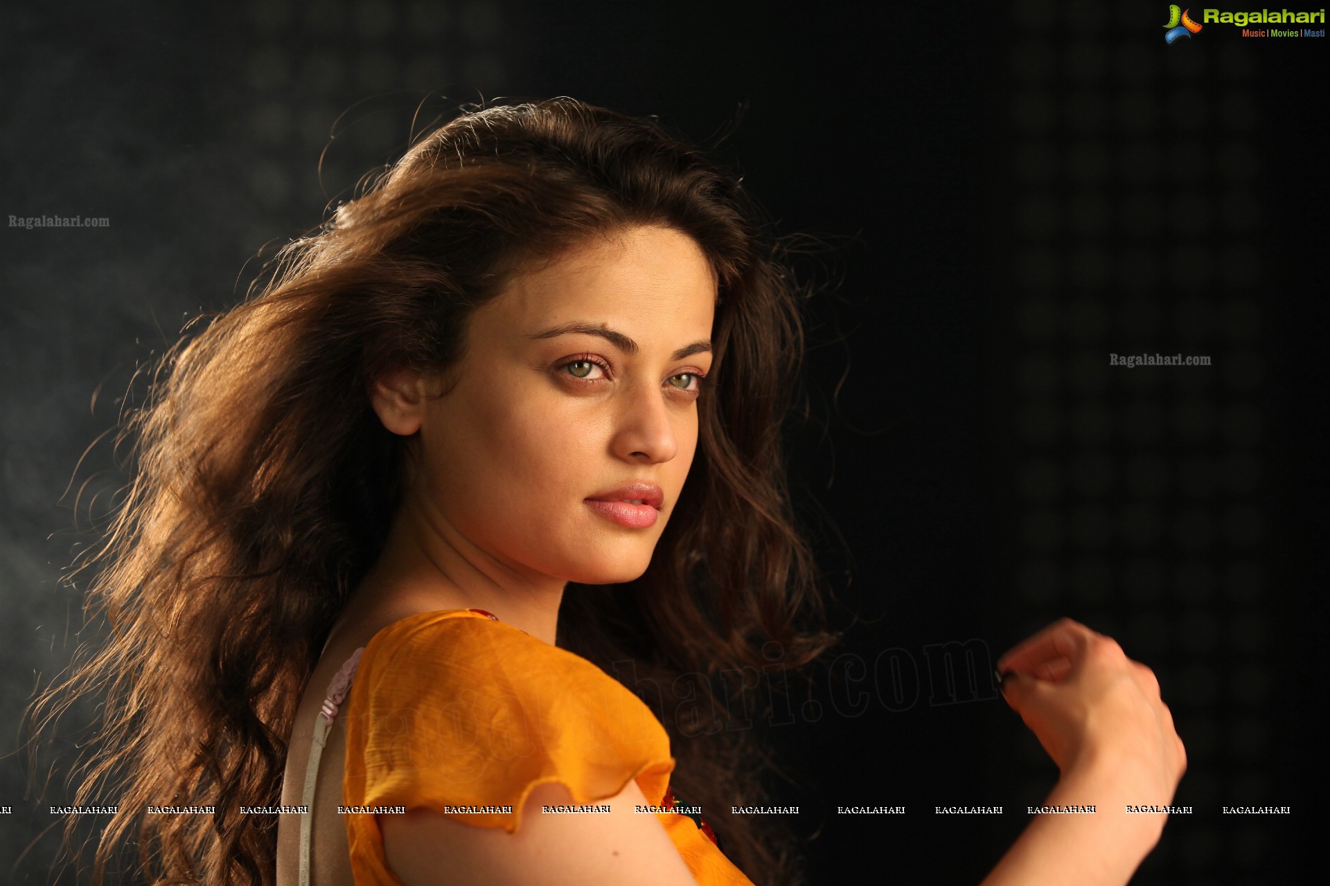 Sneha Ullal (High Definition)