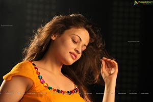 Sneha Ullal Action 3D Hot