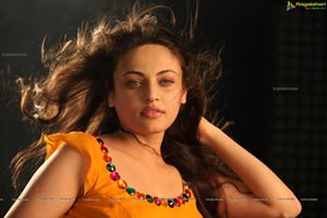 Sneha Ullal Action 3D Hot