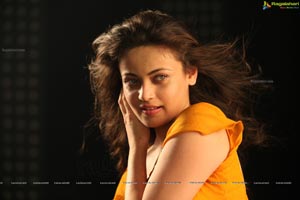 Sneha Ullal Action 3D Hot