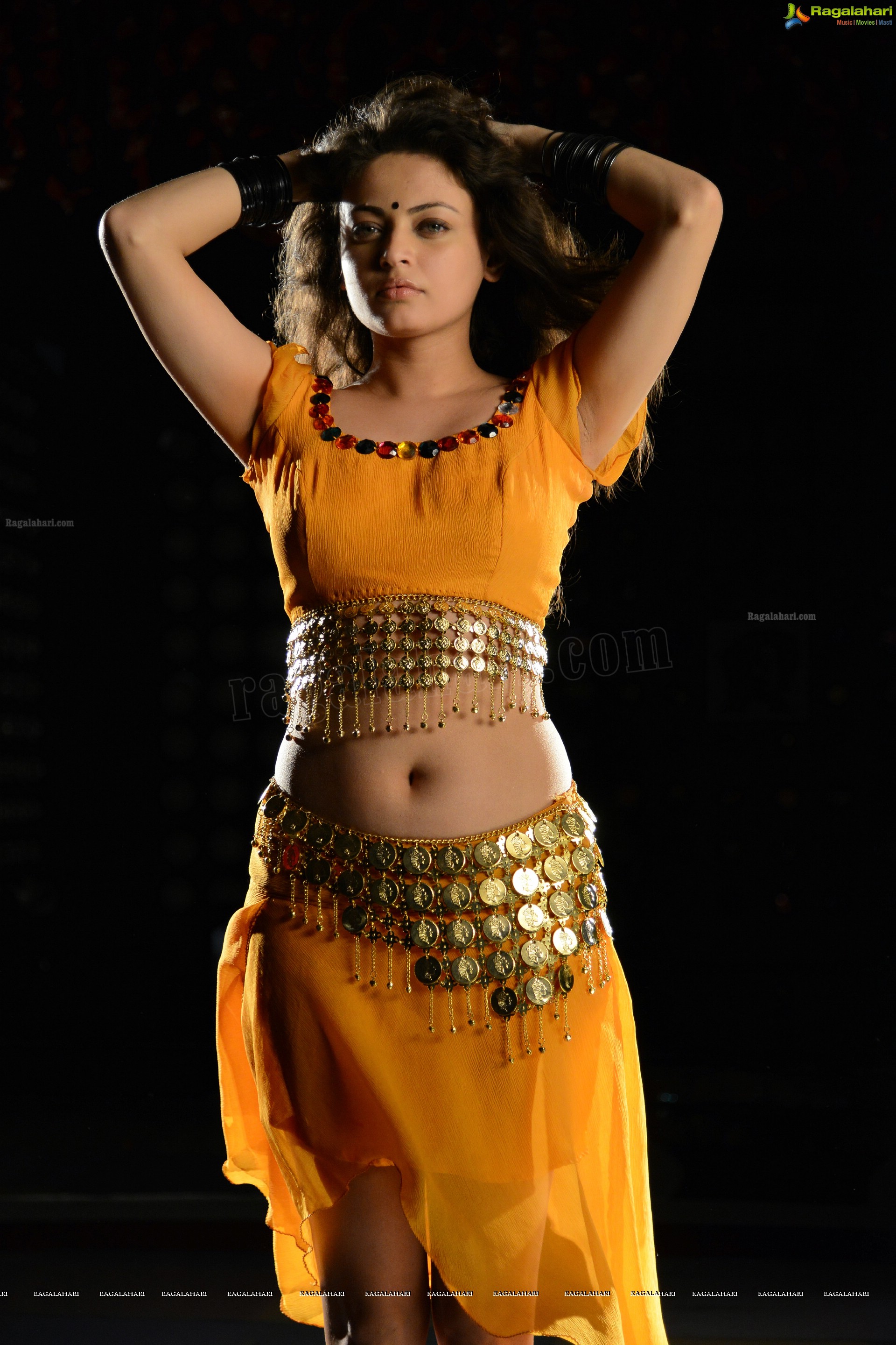 Sneha Ullal (High Definition)