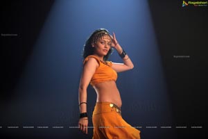 Sneha Ullal Action 3D Hot