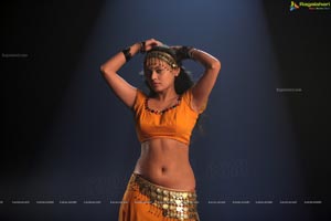 Sneha Ullal Action 3D Hot