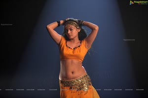 Sneha Ullal Action 3D Hot