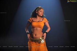 Sneha Ullal Action 3D Hot