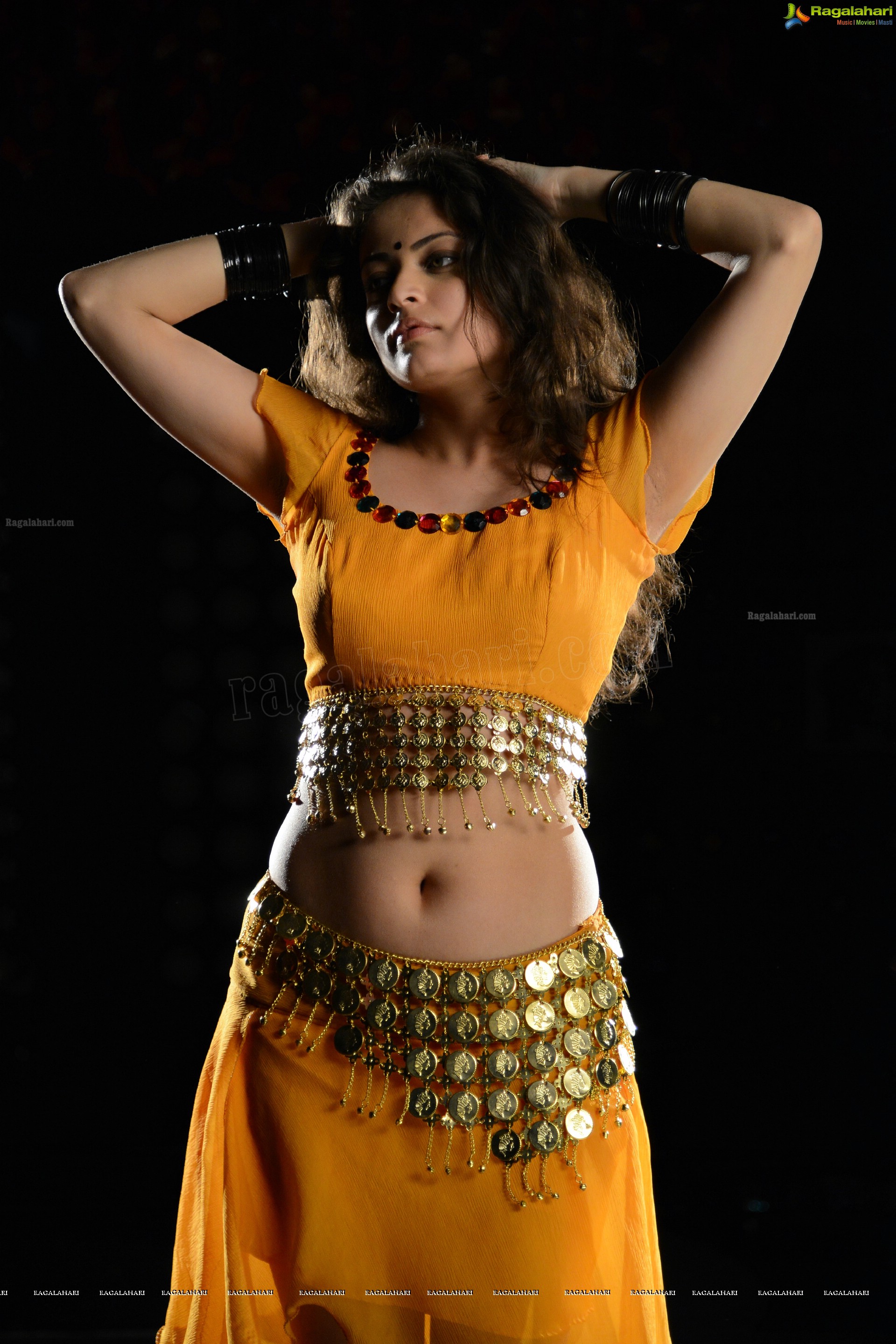 Sneha Ullal (High Definition)