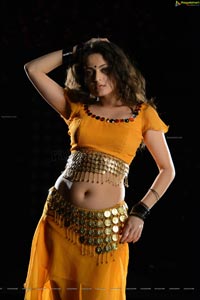 Sneha Ullal Action 3D Hot