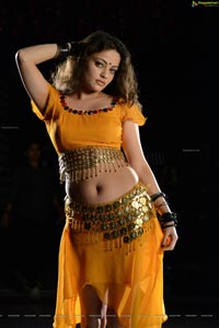 Sneha Ullal Action 3D Hot