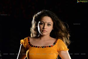 Sneha Ullal Action 3D Hot