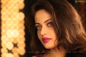 Sneha Ullal Action 3D Hot