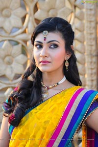 Neelam Upadhyaya in Half Saree