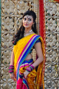 Neelam Upadhyaya in Half Saree