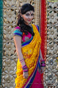 Neelam Upadhyaya in Half Saree