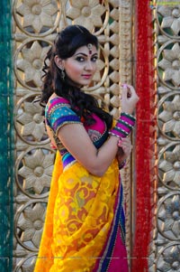 Neelam Upadhyaya in Half Saree