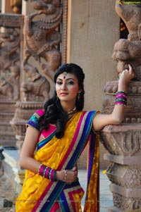 Neelam Upadhyaya in Half Saree