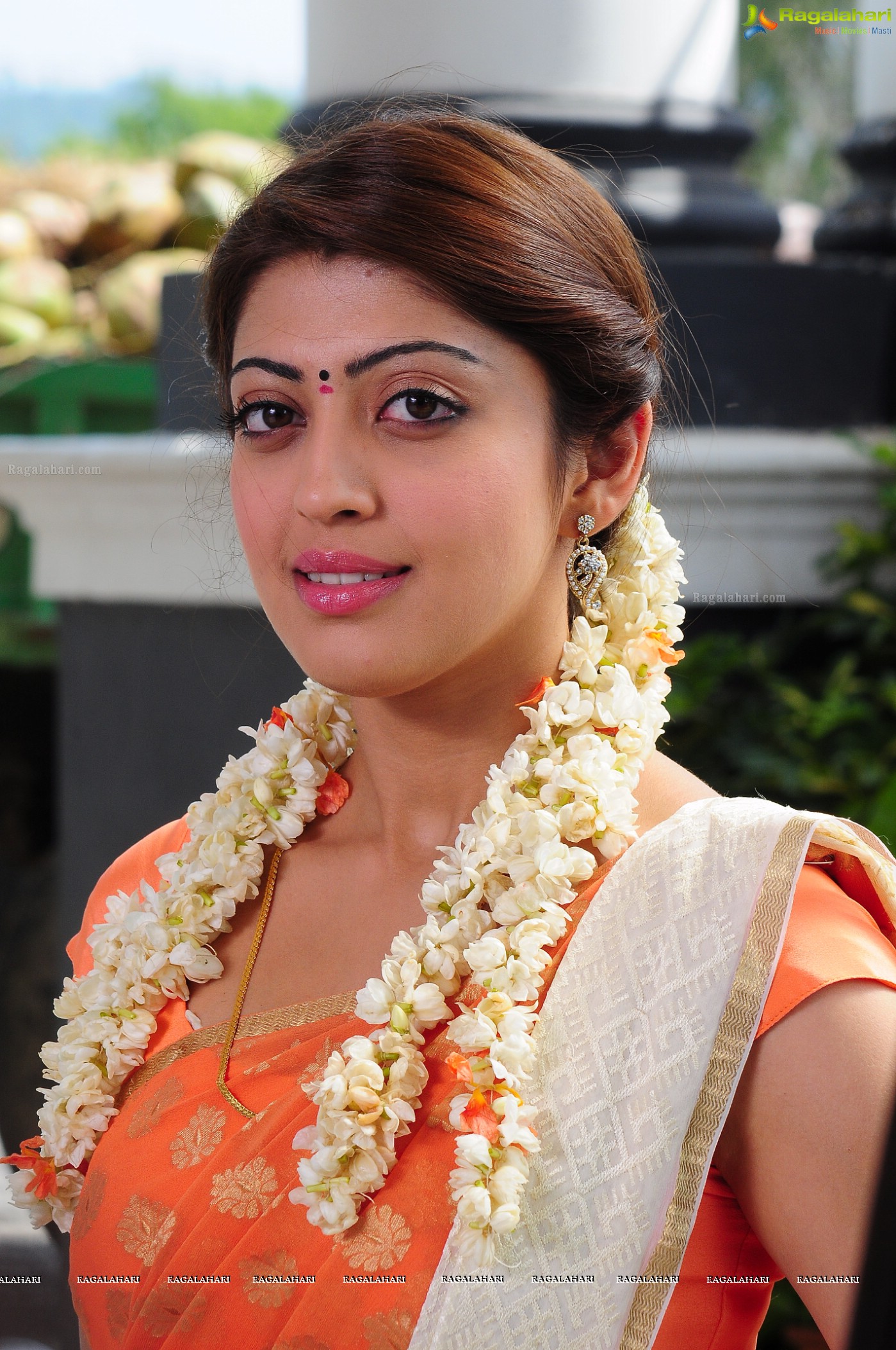 Pranitha Subhash (Posters)