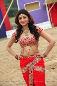 Pranitha Subhash in Brahma