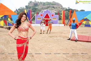 Pranitha Subhash in Brahma