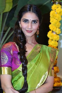 Vaani Kapoor in Saree