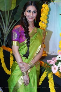 Vaani Kapoor in Saree