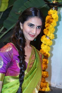 Vaani Kapoor in Saree