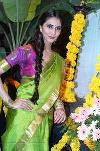 Vaani Kapoor in Saree