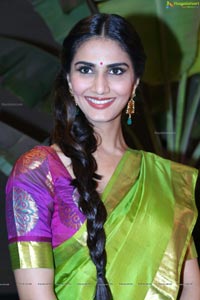 Vaani Kapoor in Saree