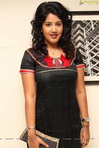 Soumya Bollapragada