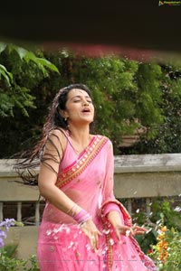 Trisha in Pink Saree