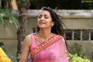 Trisha in Pink Saree