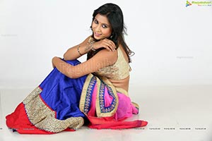 Vidya Vindod Indurkar in Half Saree