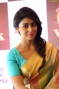 Shriya Saran in Saree