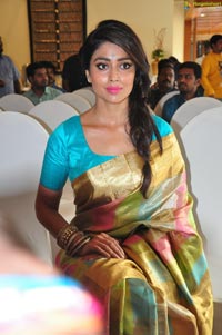 Shriya Saran in Saree