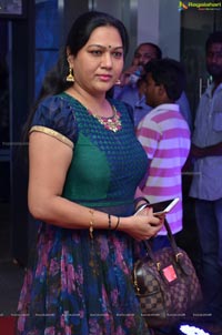 Hema Telugu Character Artist