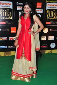 Monal Gajjar IIFA Utsavam 2016