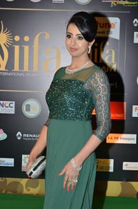 Sanjana IIFA 2016 Photos