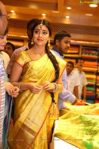 Shriya Saran in Yellow Saree