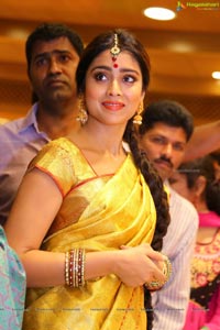 Shriya Saran in Yellow Saree