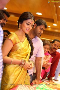 Shriya Saran in Yellow Saree