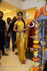 Shriya Saran in Yellow Saree