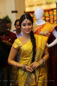 Shriya Saran in Yellow Saree