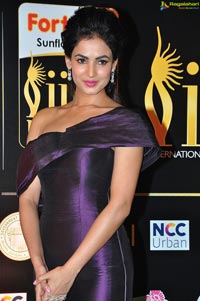 Sonal Chauhan at IIFA Utsavam 2016