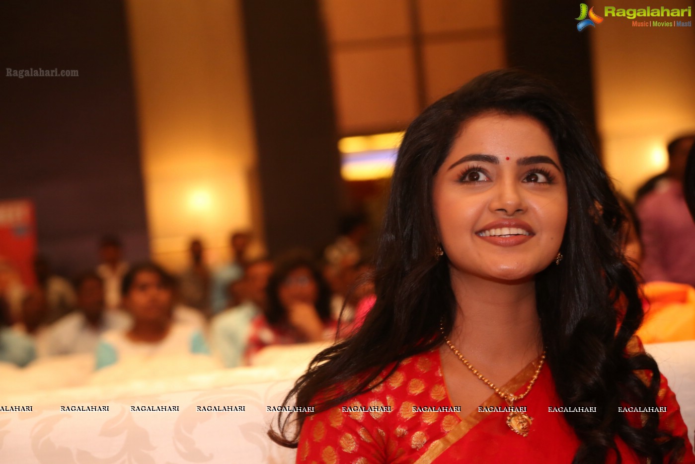 Anupama Parameswaran (Posters)