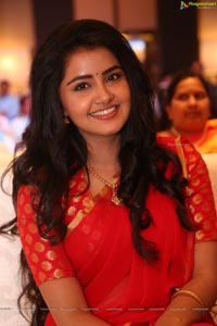 Anupama Parameswaran Photos