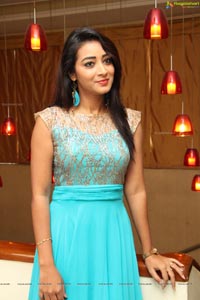 Bhanu Triparthi at D'sire Exhibition