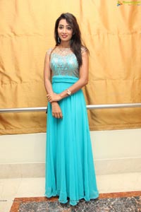 Bhanu Triparthi at D'sire Exhibition