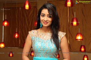 Bhanu Triparthi at D'sire Exhibition