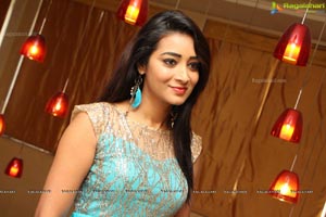 Bhanu Triparthi at D'sire Exhibition